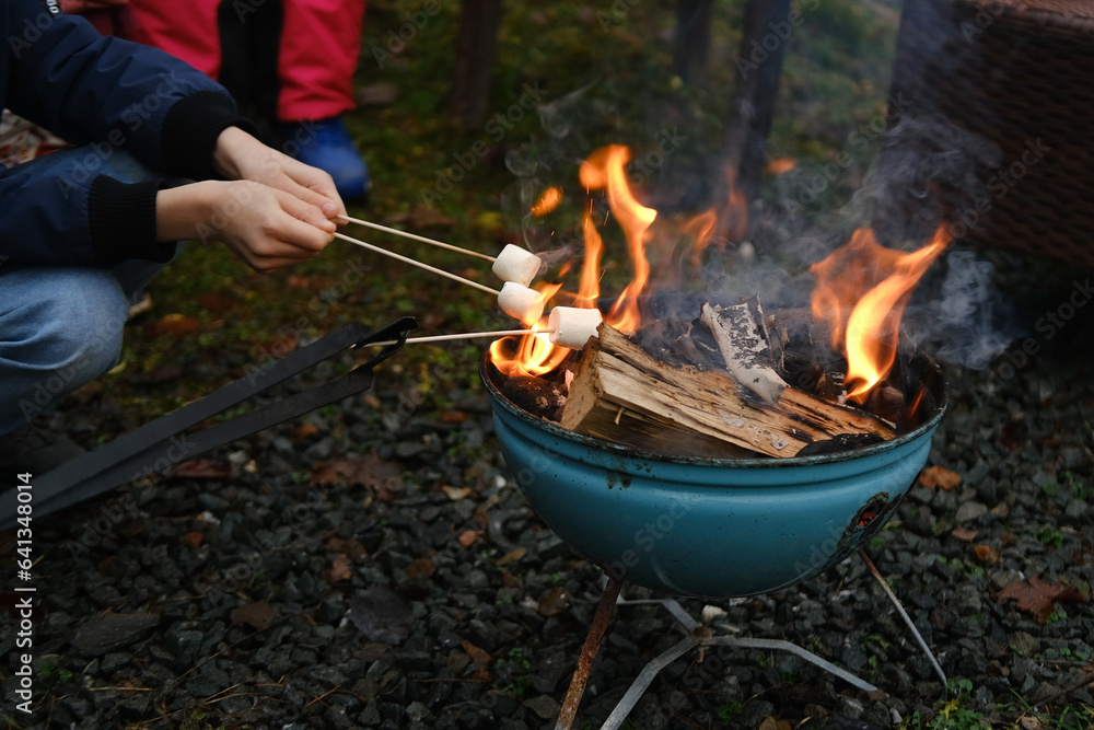 Fototapeta premium Enjoying Marshmallow Roasting Over Grill, Teenagers Cooking Marshmallows on Grill Fire, burning fire in compact grill, wood logs engulfed red flames