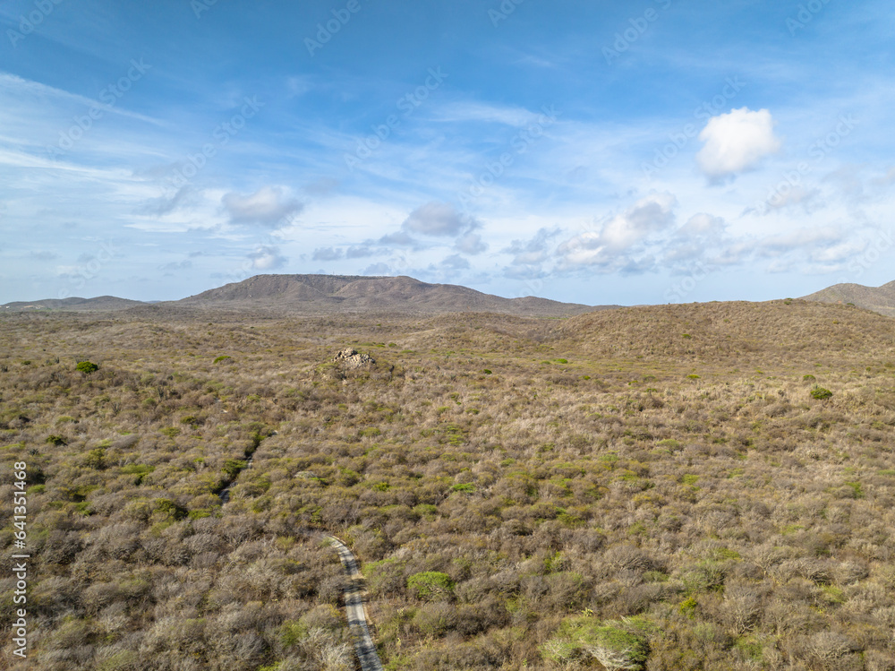 Picturesque aerial  view over the scenery on an island in the Caribbean