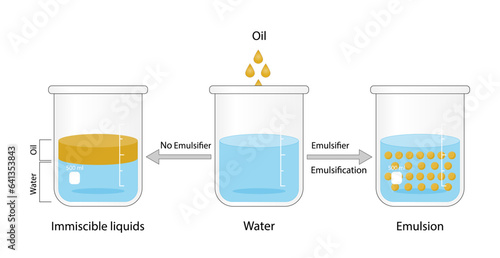Emulsion, a mixture of two immiscible liquids (oil and water) in beaker, Emulsion oil in water, Immiscible liquids. Emulsification, emulsifier. isolated on white background. Vector illustration.