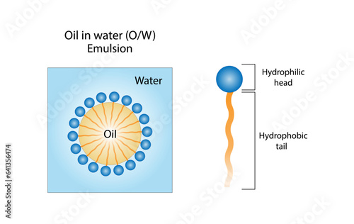 Emulsifier types, structure. Emulsion oil in water, water in oil. Emulsion, a mixture of two immiscible liquids. Emulsification, Surfactants. isolated on white background. Vector illustration