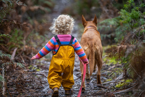 baby waling a dog on a lead in the wild forest together walking in a park in australia photo