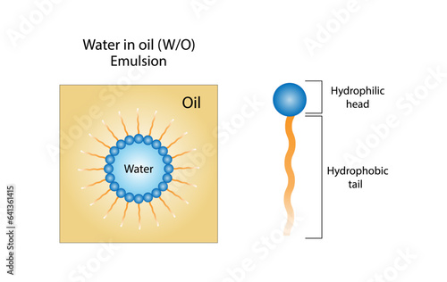 Emulsifier types, structure. Emulsion oil in water, water in oil. Emulsion, a mixture of two immiscible liquids. Emulsification, Surfactants. isolated on white background. Vector illustration