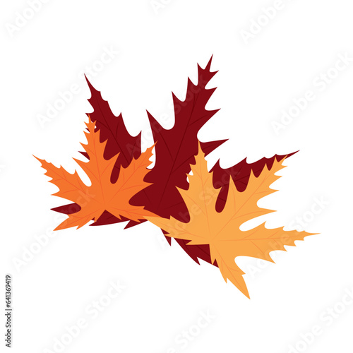 Isolated colored seaosonal leaf icon Vector