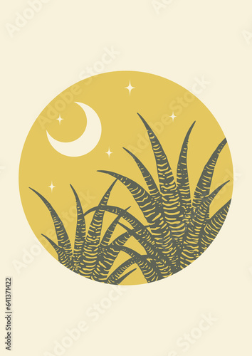 Abstract aesthetic desert night with agave cactus illustration.