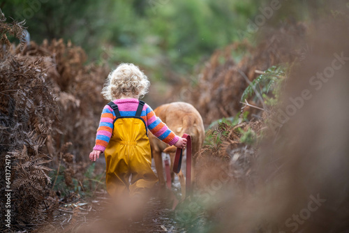 baby waling a dog on a lead in the wild forest together walking in a park in australia © William