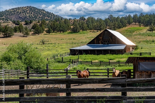 A barn on a cattle ranch near Mitchell in eastern Oregon. photo