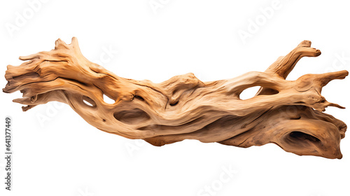 Dry tree wood isolated on transparent background. Tree wood png