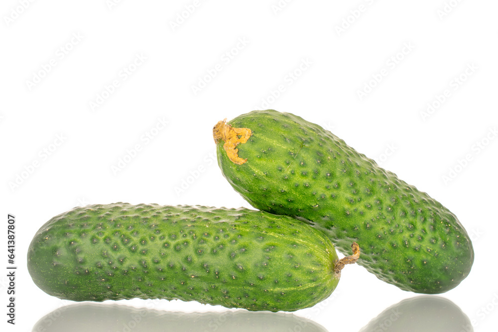 Two fresh green cucumbers, macro, isolated on white background. Two fresh green cucumbers, macro, isolated on white background.