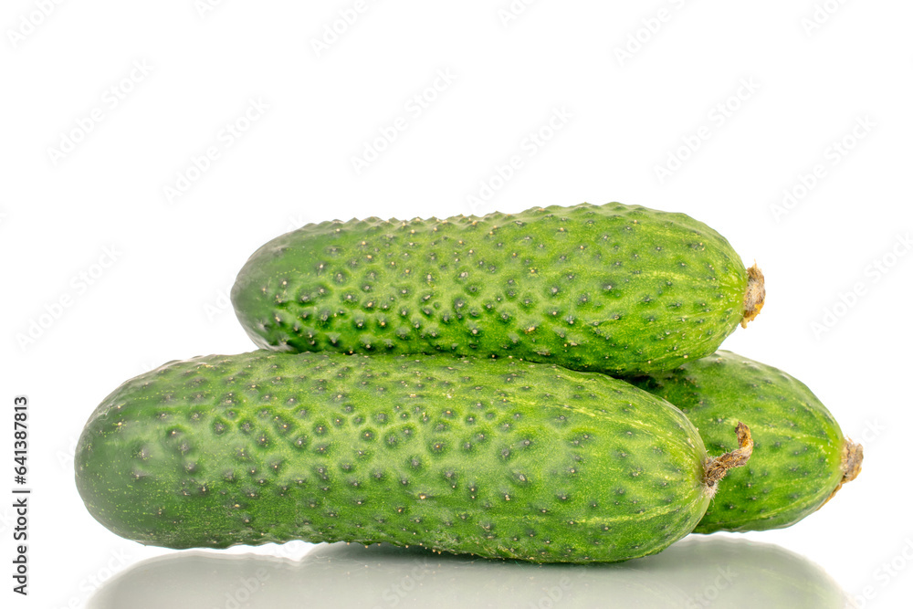 Three fresh green cucumbers, macro, isolated on white background. Three fresh green cucumbers, macro, isolated on white background.