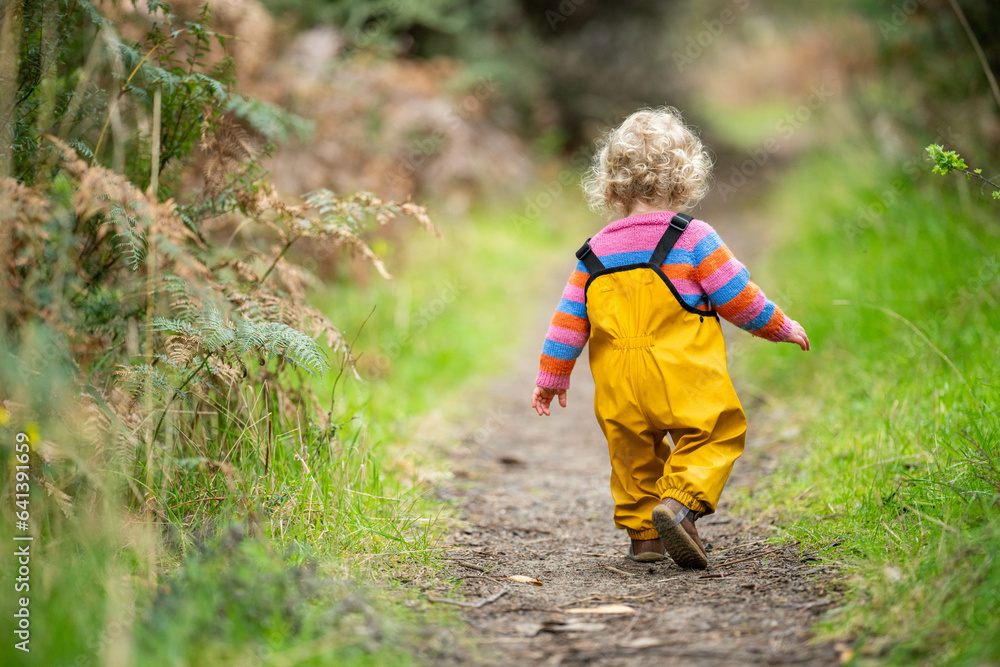 toddler walking on a hike in a park toddler walking on a hike in a park