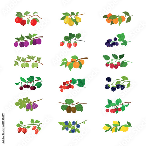 Wallpaper Mural Assorted fruits dangle from a verdant twig adorned with vibrant leaves