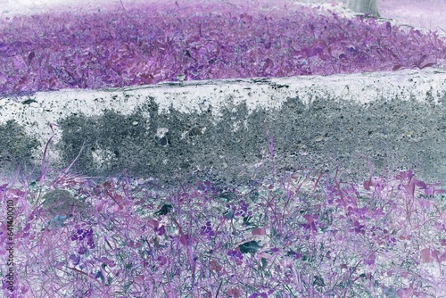 An abandoned building foundation in a bright purple film negative.