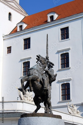 Photography Die Burg  und das Parlament von Bratislava.