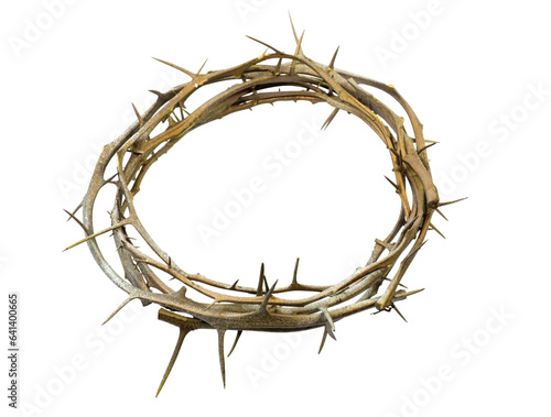 A crown of thorns isolated on a white background