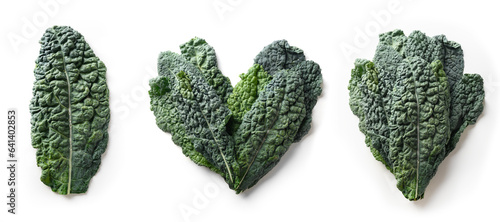 Different shape of kale salad leaves isolated on white background. Heathy organic food. View from above.