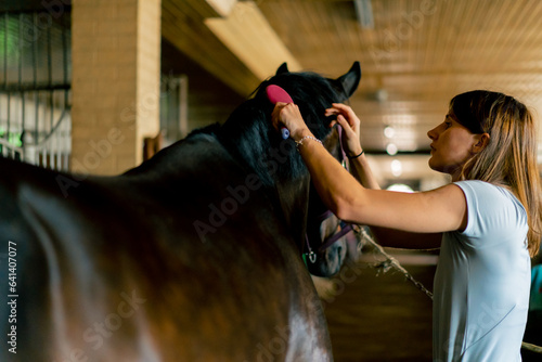 Close-up of a girl stable worker combing out the mane of a black horse in a stable concept of love for equestrian sport