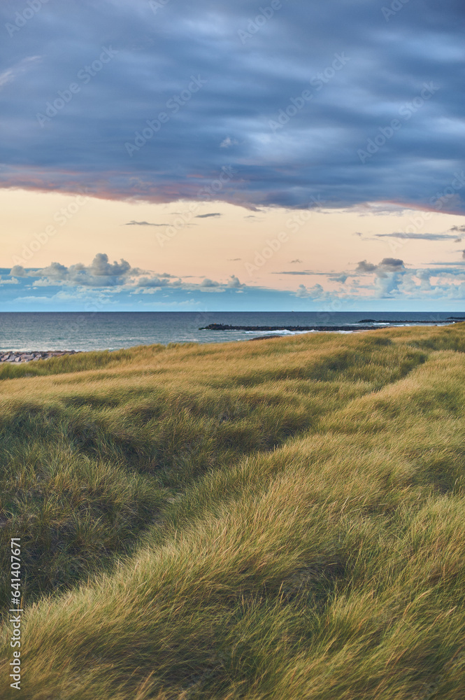Grassy Dunes at the wide beach at northern Denmark. High quality photo