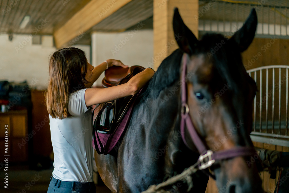 Fototapeta premium A rider puts a saddle on her black horse in the stables in preparation for the race equestrian concept