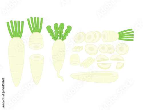 White daikon radish.Whole, slices and half cutted.Root vegetables and fruit.Daicon Raphanus sativus.Sign, symbol, icon or logo isolated.Flat design.Cartoon vector illustration.Graphic.Clipart.
