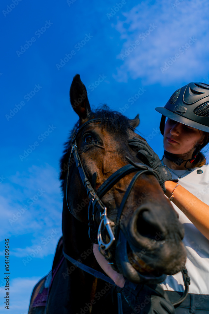 Obraz premium A horsewoman in a helmet hugs and scratches her beautiful black horse with her hand at the equestrian arena during a horseback ride