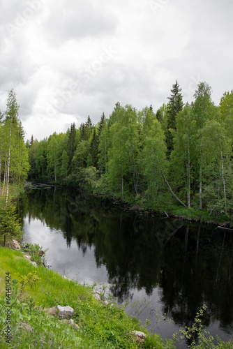 A river in the middle of the forest in summer. Sunny summer day.