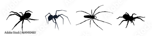 Fototapeta set of spider silhouettes - vector illustration