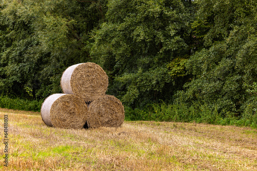 Stacked straw bales on a field in front of trees in background