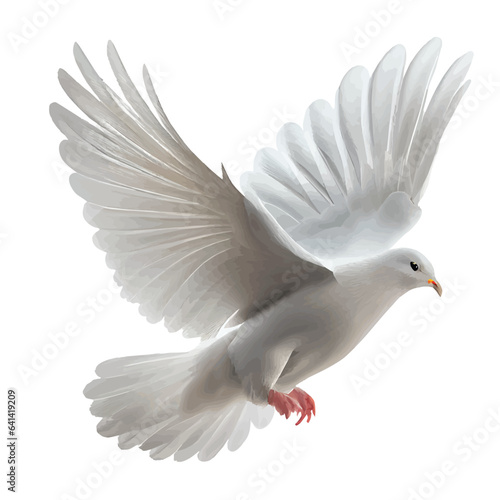 dove isolated on white background © Picture for You