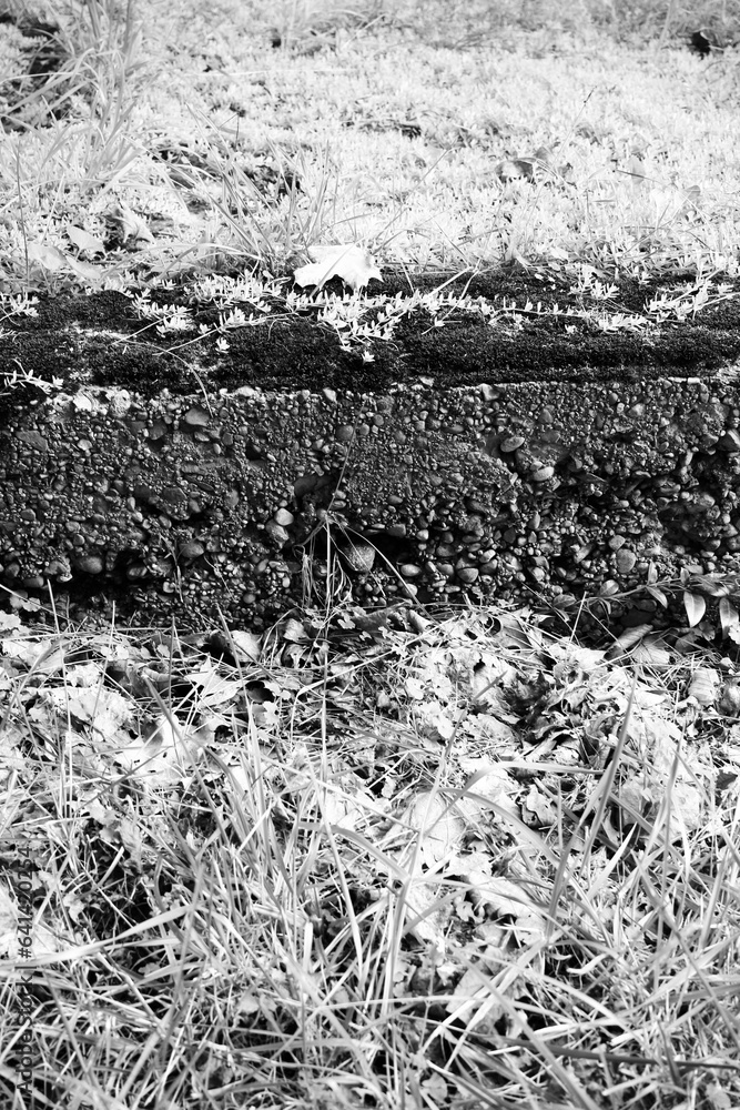 An old abandoned building foundation in black and white film negative.