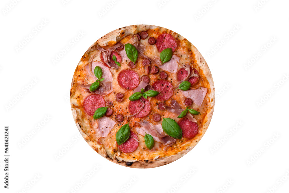 Delicious fresh oven baked pizza with salami, meat, cheese, tomatoes Delicious fresh oven baked pizza with salami, meat, cheese, tomatoes