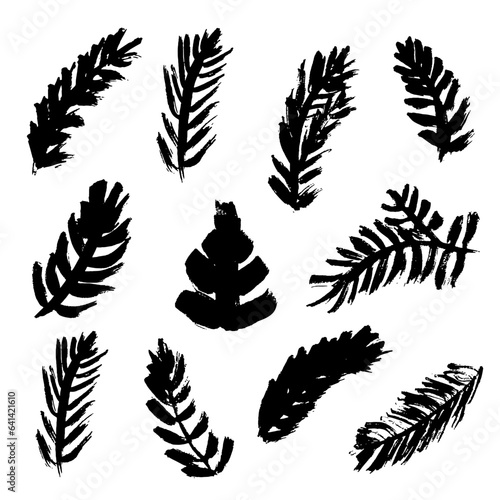 Set with  pine and fir branches, vector evergreen plant, Christmas tree and pine branch. Black silhoettes islated on white backgrond. Winter nature illustration