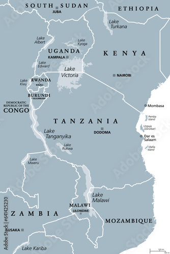 African Great Lakes region, gray political map. Large rift lakes of Africa, and their riparian countries with capitals and borders. Lake Victoria, Lake Tanganyika, Lake Malawi and smaller lakes.