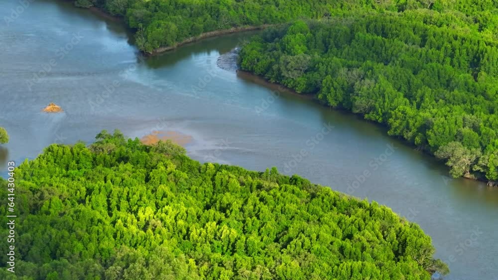 Mangrove forest, a coastal oasis brimming with biodiversity, unfolds under the drone's gaze. A tapestry of vibrant green hues and intricate waterways, vital to both land and sea ecosystems. Thailand.
Mangrove forest, a coastal oasis brimming with biodiversity, unfolds under the drone's gaze. A tapestry of vibrant green hues and intricate waterways, vital to both land and sea ecosystems. Thailand.