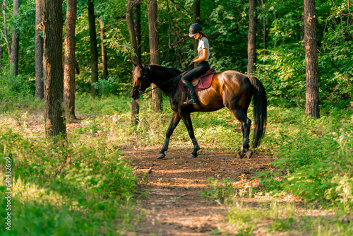 A rider dressed in a helmet rides her beautiful black horse in the forest during a horseback ride © Guys Who Shoot