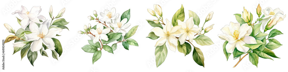 Arabian Botanical View On A Clean White Background Soft Watercolour Transparent Background