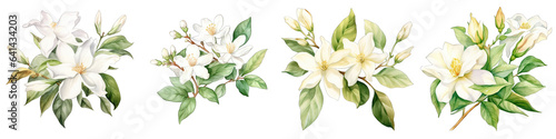Arabian Botanical View On A Clean White Background Soft Watercolour Transparent Background © Riffat