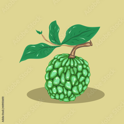 vector illustration of Cherimoya or closely related srikaya and soursop. exotic tropical annona or cherimoya fruit. cherimoya with a sprig of leaf