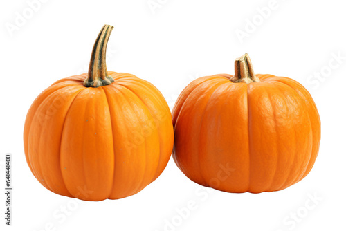 two pumpkin on transparent background, PNG