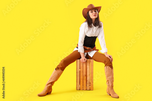 Beautiful cowgirl sitting o...