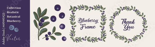Collection Hand drew blueberry botanical elements for Invitation and universal card.