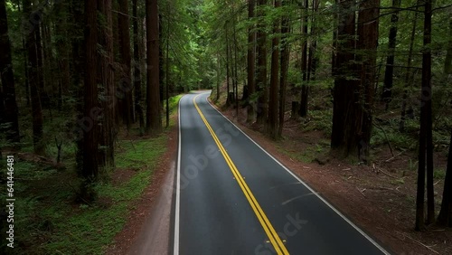 Aerial California coastal redwoods forest road overhead traffic 2. Northern ocean shoreline coastal ecosystem landscape. Sequoia are tallest trees on earth. Forest old growth temperate rainforests.