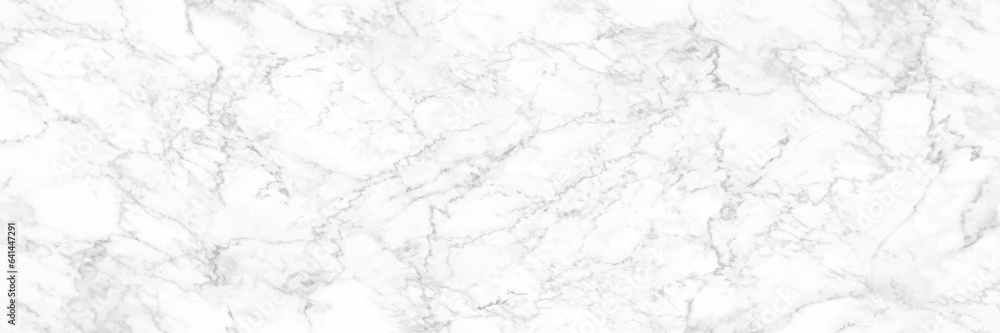 Fototapeta premium horizontal elegant white marble texture background,vector illustration.