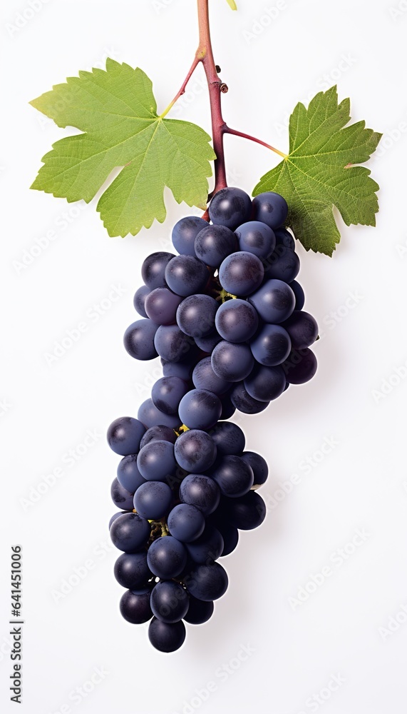 Fototapeta premium Black grapes in white background