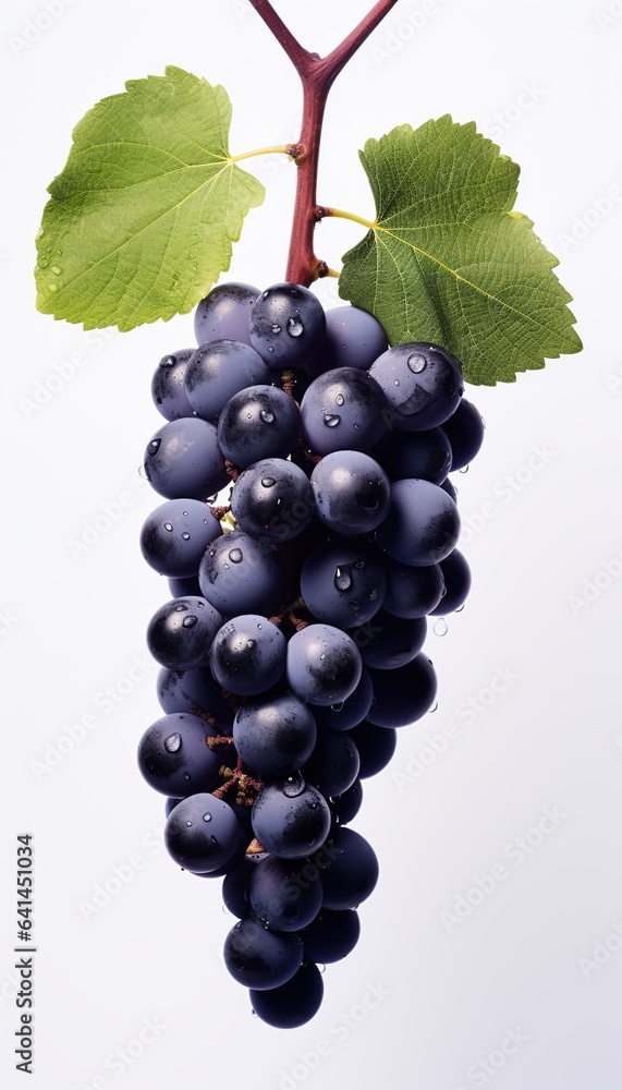 Fototapeta premium Black grapes in white background