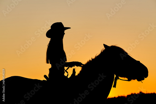Cowboy silhouette on a horse during nice sunset.
