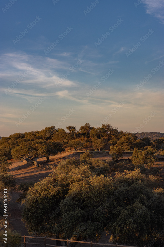 Landscape Landscape