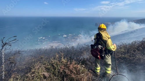fireman in action, forest firefighters