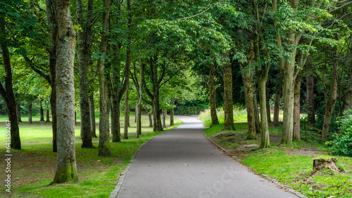 Fototapeta Naklejka Na Ścianę i Meble -  Path to walk through the public park with leafy trees next to St. Machar's Cathedral, Aberdeen.