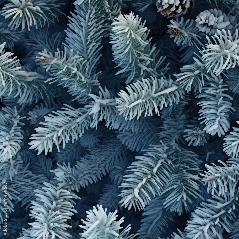 blue spruce branches close-up, natural background, top view