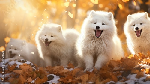 Arctic foxes rolling joyfully in a bed of fallen leaves, their mischievous eyes sparkling with energy as their fur becomes adorned with the colors of autumn.